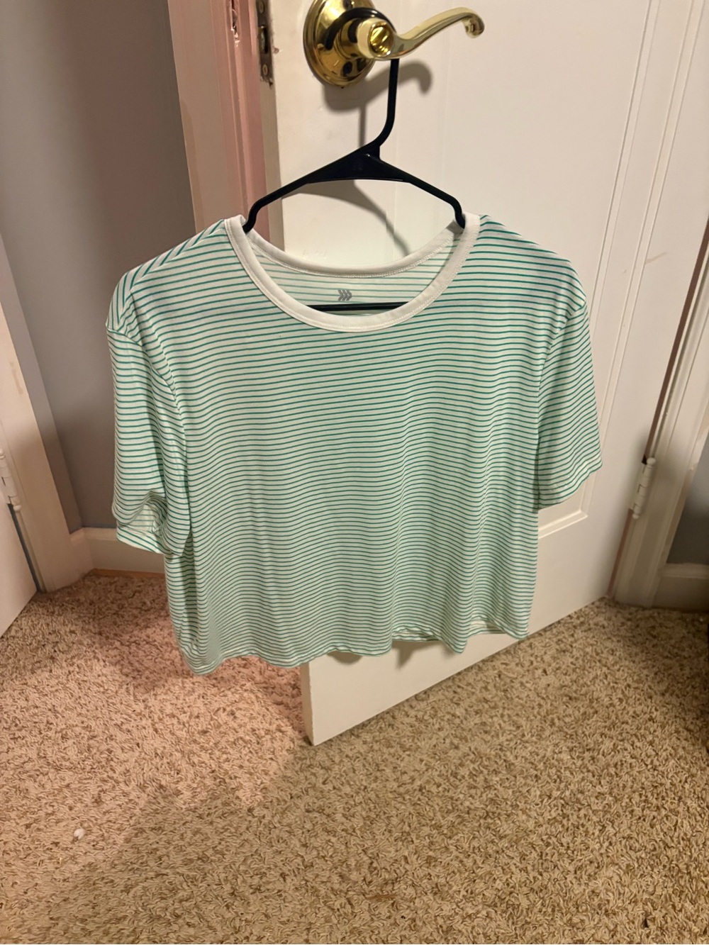 Green Striped Crop Top